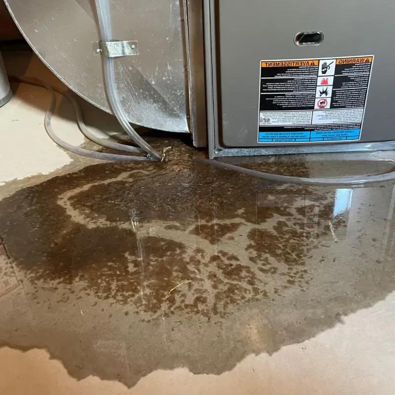 Pipe Burst and Leak Restoration in South Kingstown, RI