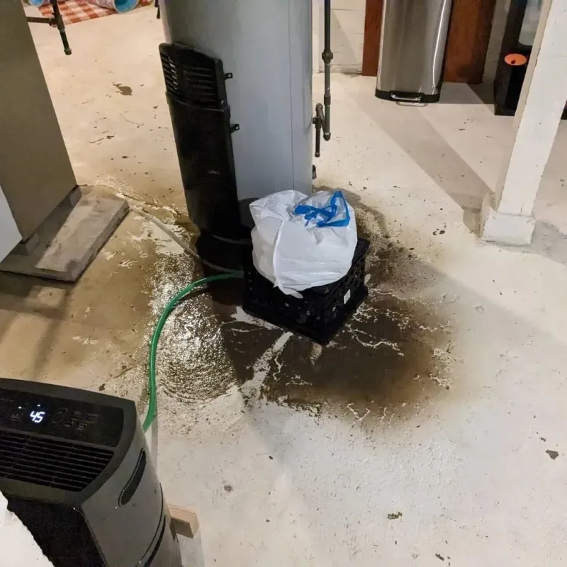 Sewage Backup Cleanup Service in South Kingstown, RI
